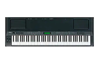 CP300