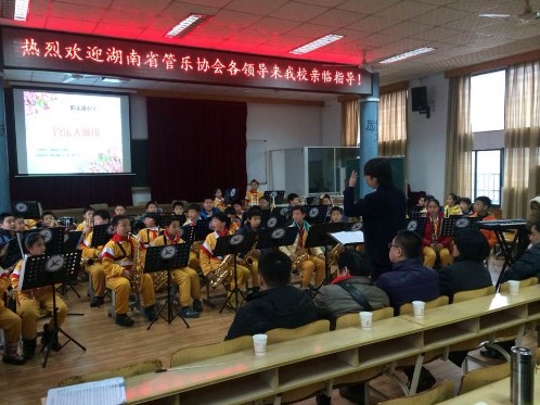 長沙仰天湖小學大師班活動成功舉辦 