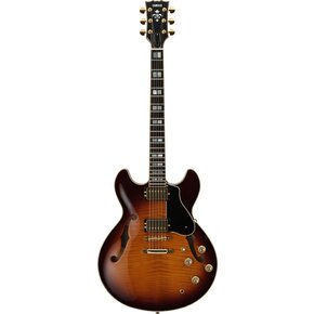Brown Sunburst