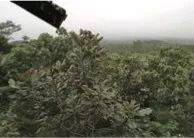 這才是真相:綠色關愛,雅馬哈的環境政策