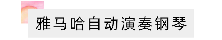 活動報道 | 遠程藝術教育大師課活動—雅馬哈藝術家吳曉大師課