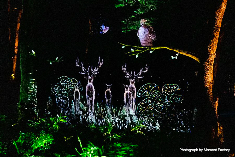 案例|雅馬哈為壯觀的Kamuy Lumina魔法夜行旅游項目提供配樂設備